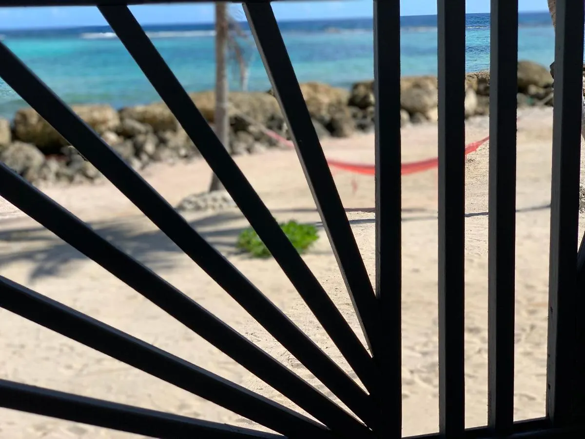 Residence Nature Ocean - M&P Concept Capesterre Guadeloupe