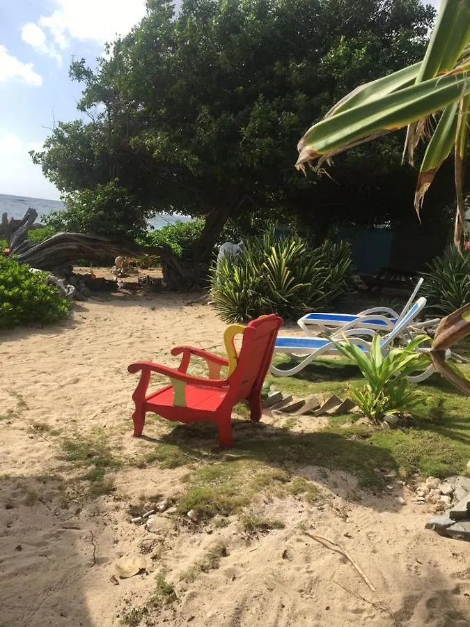 Holiday home Residence Nature Ocean - M&P Concept Capesterre Guadeloupe