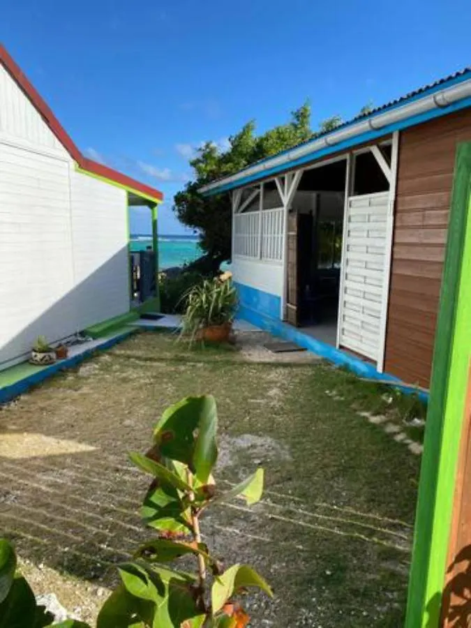 Residence Nature Ocean - M&P Concept Capesterre Guadeloupe