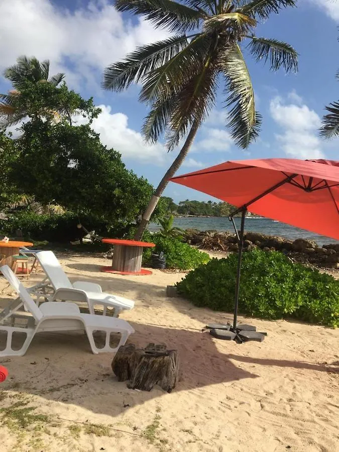 Residence Nature Ocean - M&P Concept Capesterre Guadeloupe
